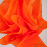 17-orange-1