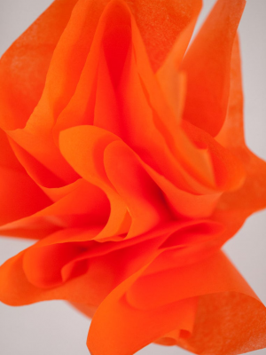 17-orange-1