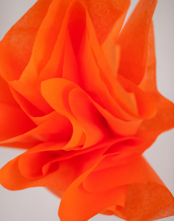 17-orange-1