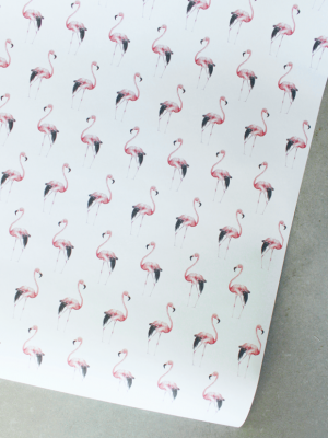 flamingo-60x100