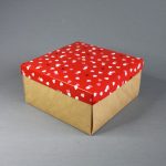 1011-270gr_kraft
